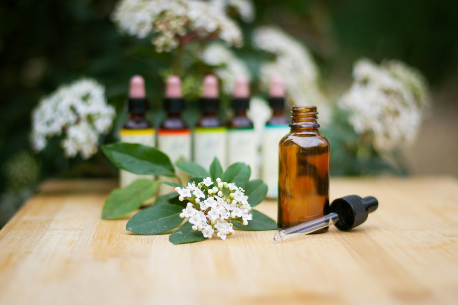 Fleurs de Bach Rescue : à quoi s&rsquo;attendre vraiment