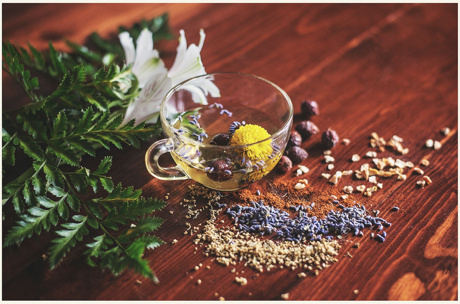 La naturopathie : comment elle transforme votre bien-être quotidien